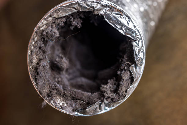 Best Dryer Vent Cleaning Services  in Rome, GA