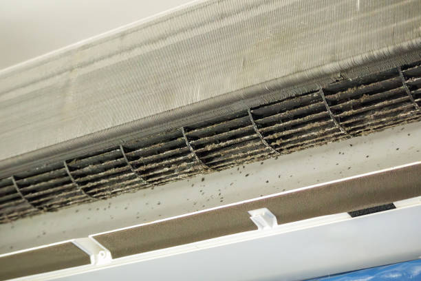 Best Home Air Vent Cleaning  in Rome, GA